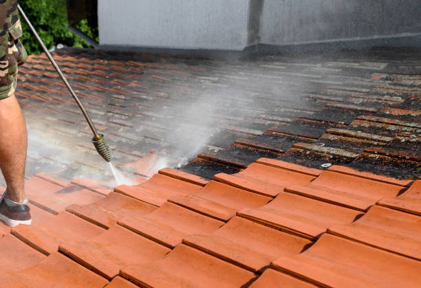 Best Best Pressure Washing Companies  in La Paloma, TX