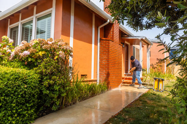 Best Sidewalk Pressure Washing  in La Paloma, TX