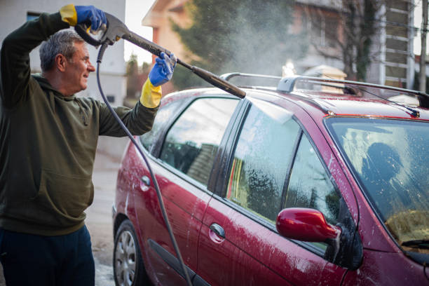 Best Pressure Washing Company Near Me  in La Paloma, TX